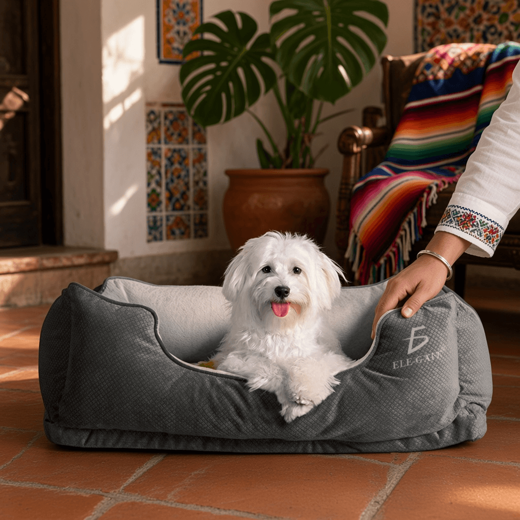 Perro descansando en una cama cómoda, ideal para un descanso adecuado, mostrando camas para perros cómodas.