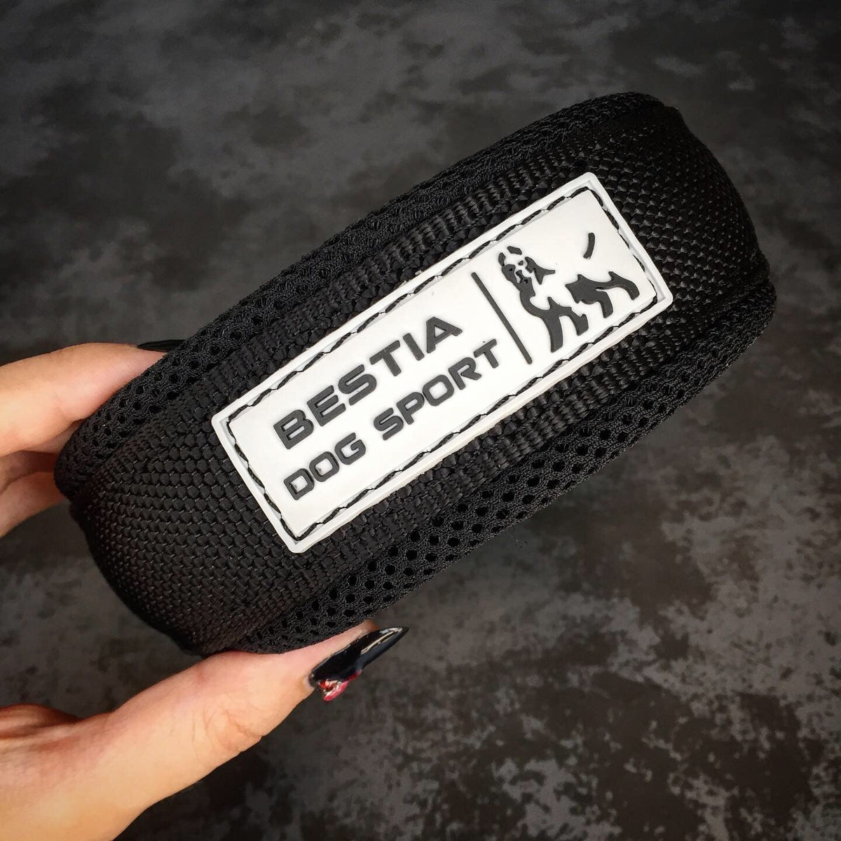 Collar Bestia Sport Fast Release negro y oro para perros - liberación rápida y acabados dorados premium - MITZON