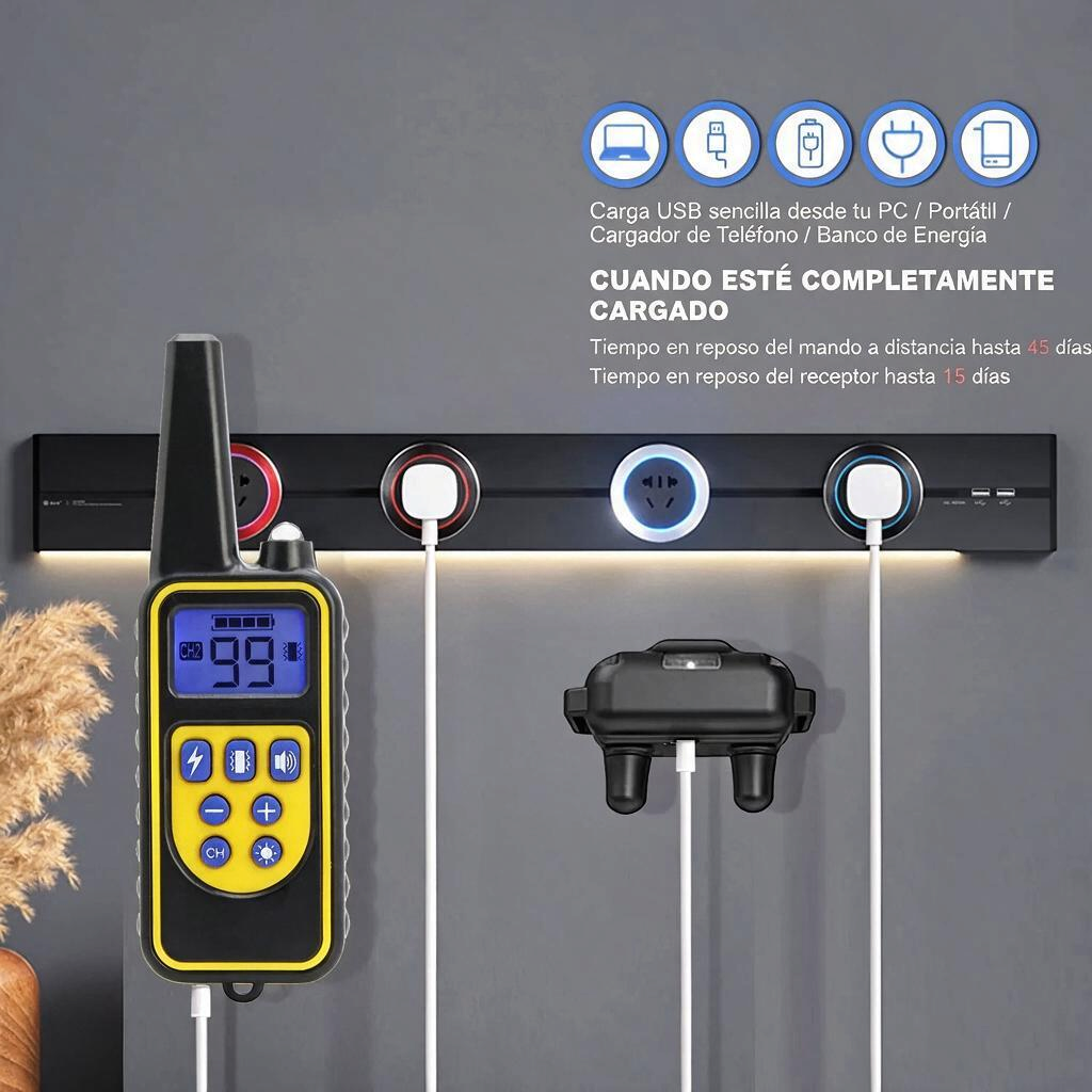 Collar eléctrico de adiestramiento para perros con control remoto y estación de carga USB.