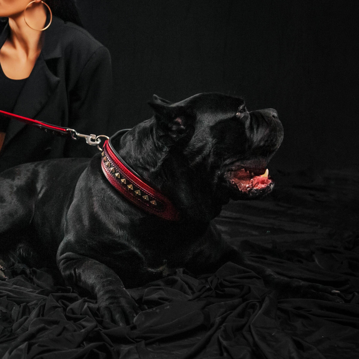 Collar Balteus premium rojo para perros - accesorio de lujo vibrante - MITZON