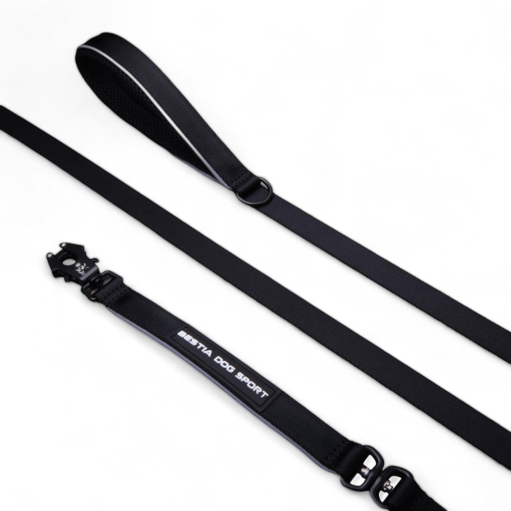 Correa premium para perro MITZON - accesorio de lujo resistente y elegante para paseo canino