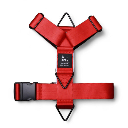 Arnés Bestia Dog Sport GripPro Basic para perro MITZON - accesorio premium deportivo ergonómico para entrenamiento canino
