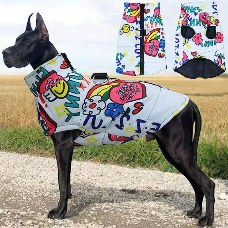 Chamarra impermeable para perros con broche, diseño colorido, ideal para días frescos y lluviosos.