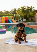 Toalla de baño tigre para mascotas MITZON, un perro Rottweiler con diseño de tigre, disfrutando del sol junto a la piscina.