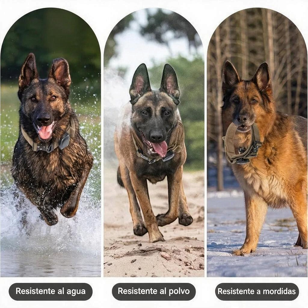 Collar táctico para perro en tres ambientes: resistente al agua, al polvo et à mordidas, idéal pour aventures extérieures.