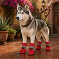 Zapatos impermeables para perro antiderrapantes en un perro husky en un entorno exterior con plantas.