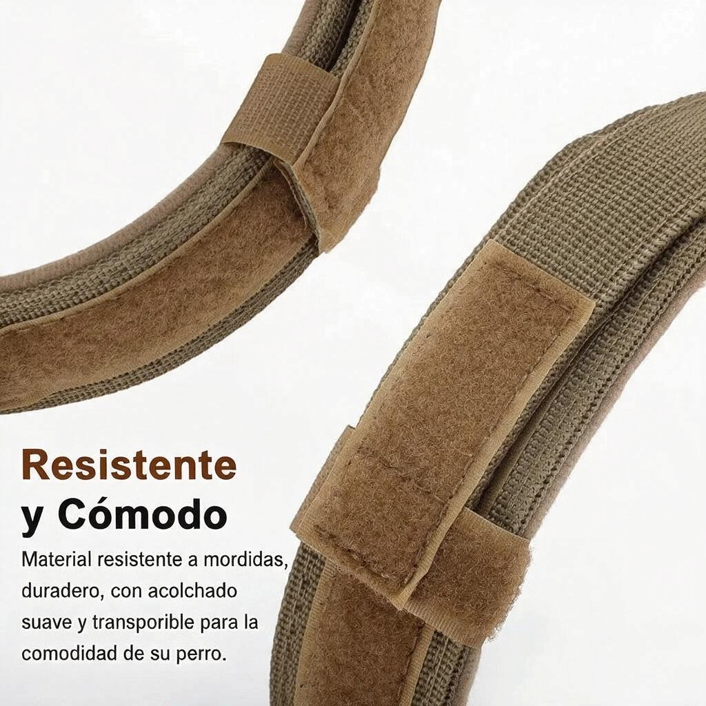 Collar táctico para perro con material resistente y cómodo, ideal para paseos al aire libre.