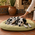 Cojín para cama de perro grande suave café Mitzon avec un chien sur un coussin confortable.