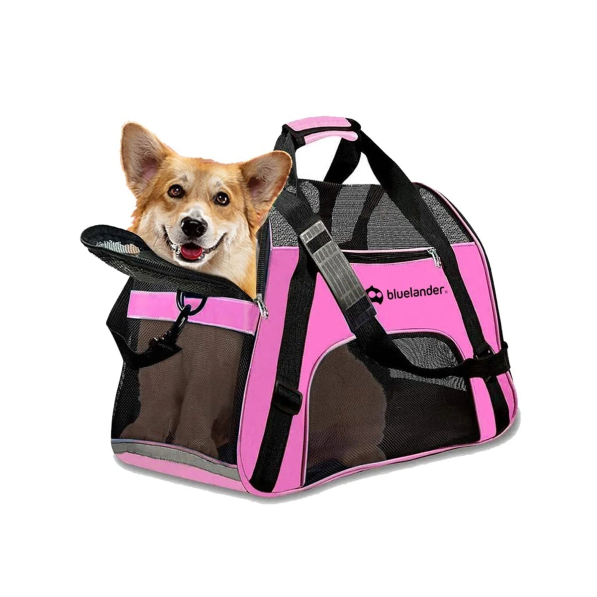 Mochila transportadora pour chien petit pliable, idéale pour voyages avec fenêtres en maille.