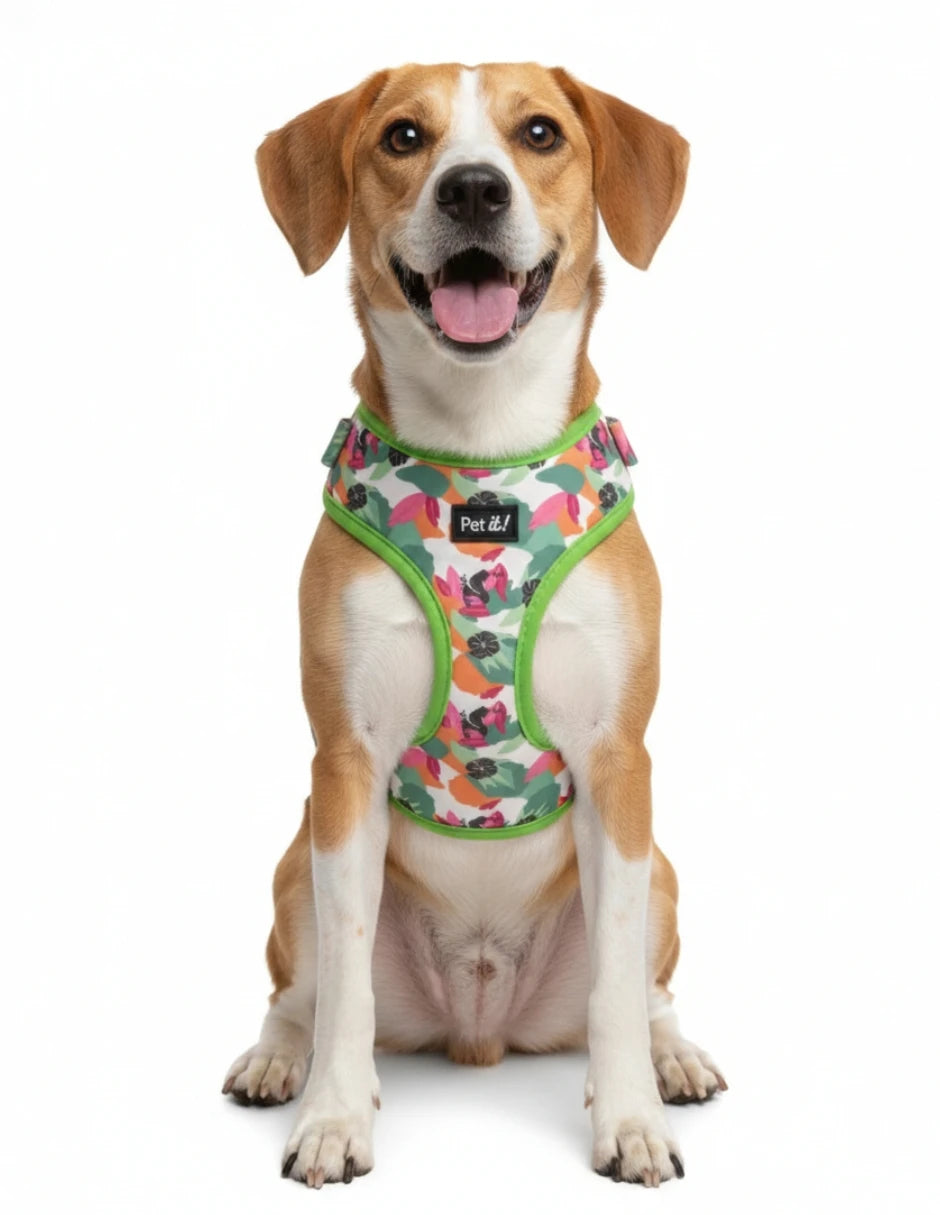 Arnés para perro con estampado tropical verde, diseño suave y ergonómico para paseos cómodos.