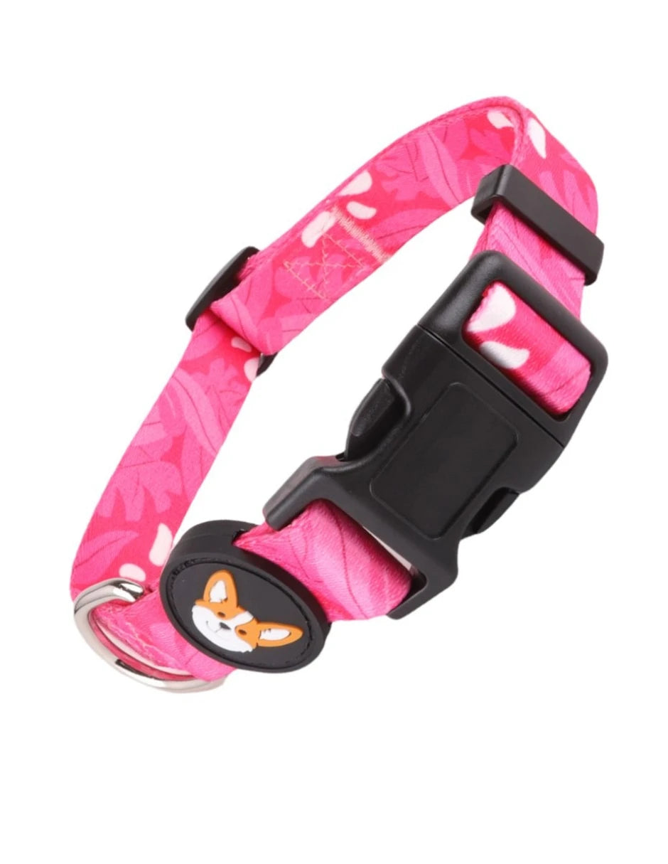 Collar para perro con estampado floral rosa | MITZON, diseño alegre y cómodo para paseos diarios.