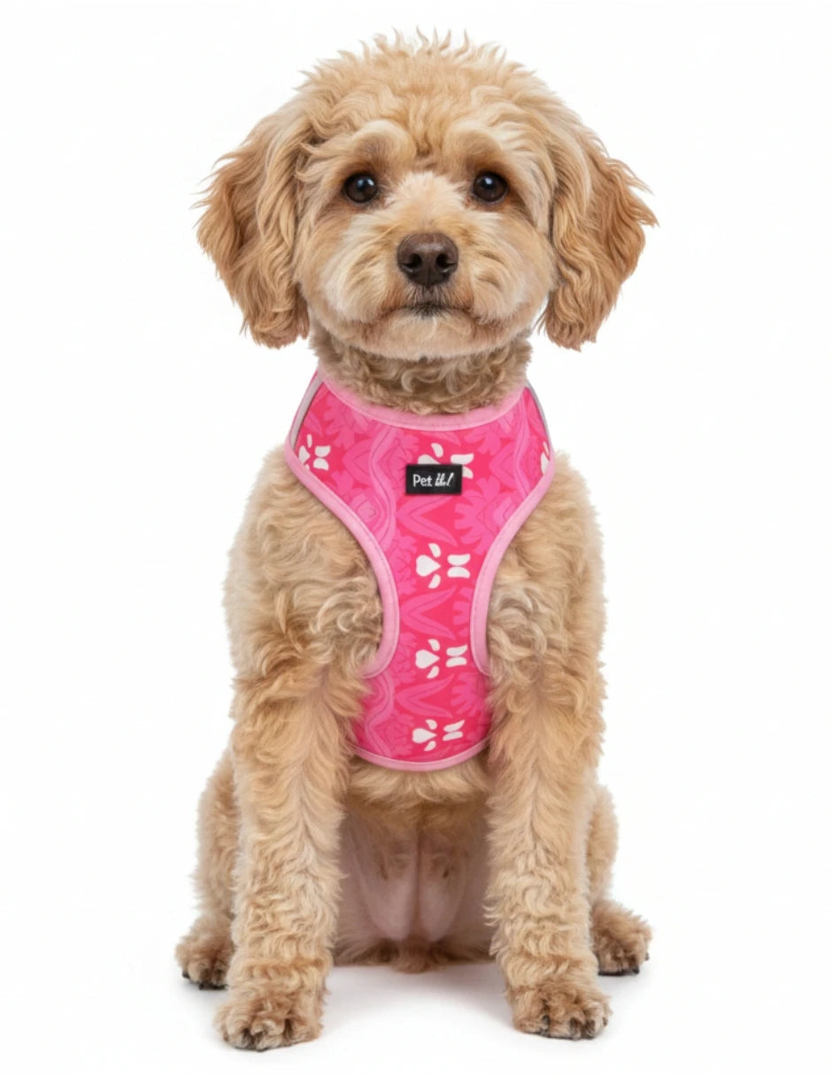arnés antitirones para perro con estampado floral rosa sur un chien assis avec un look adorable