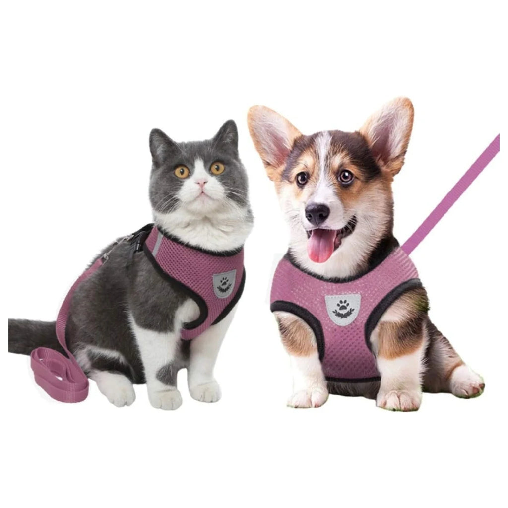 arnés pechera transpirable para perro y gato con correa Mitzon, cómodo y fresco ideal para paseos.