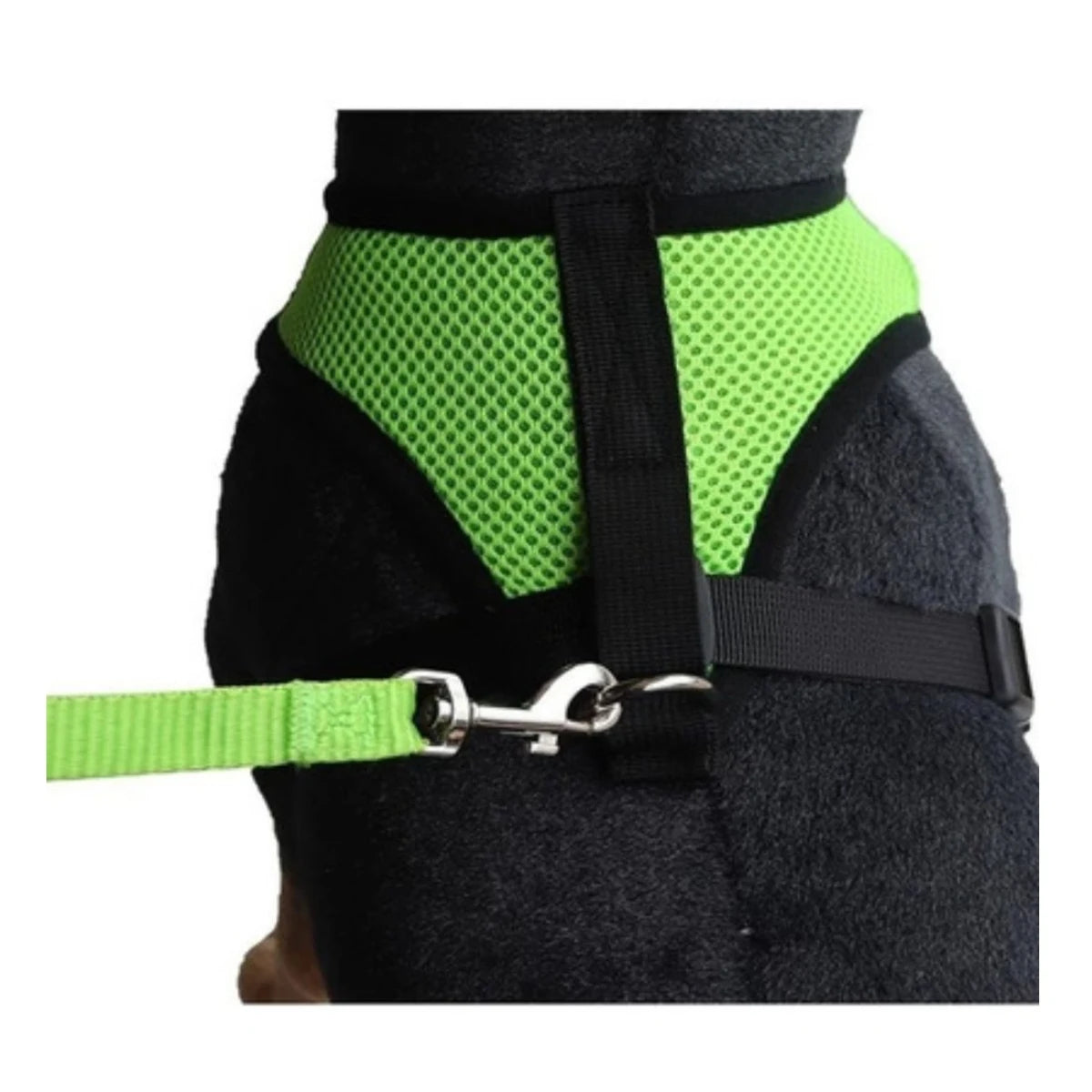 arnés pechera transpirable para perro avec sangle verte, léger et confortable pour les promenades.