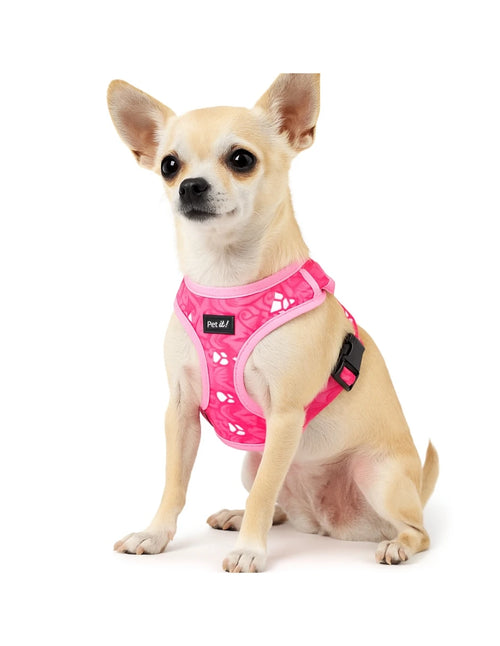 arnés antitirones para perro con estampado floral rosa en un perro chihuahua sentando.