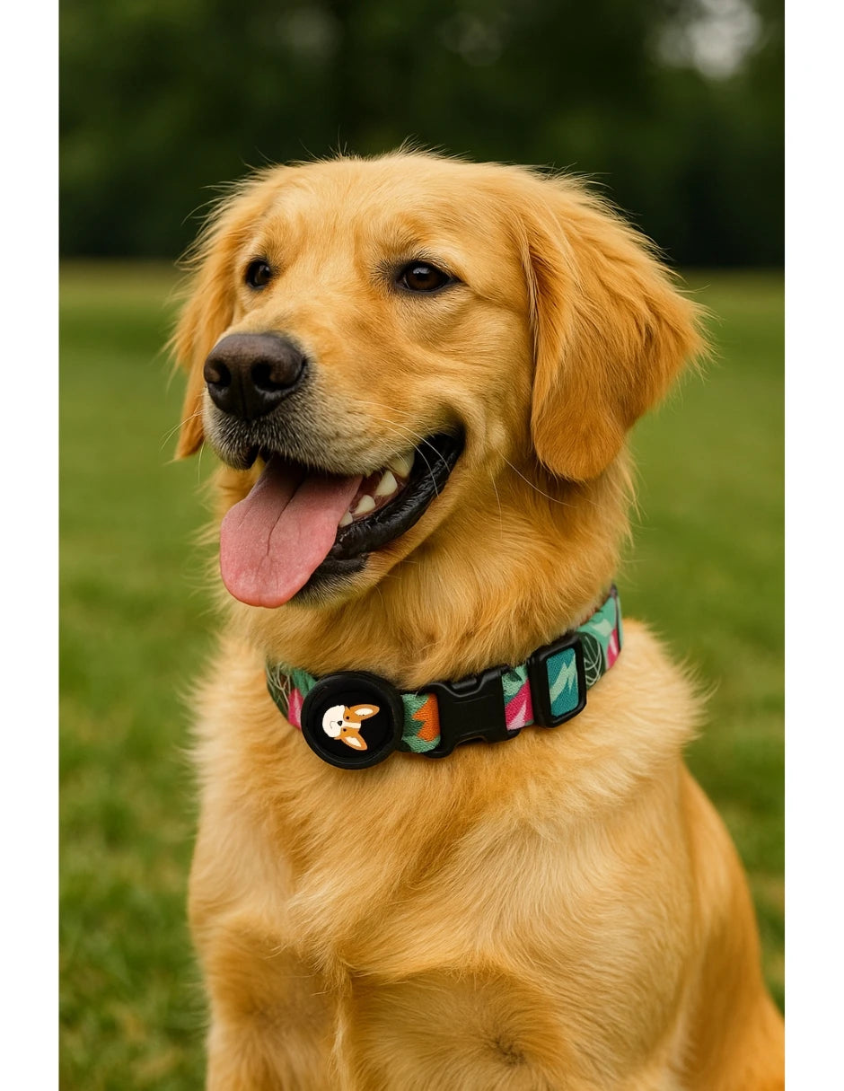 collar para perro con estampado tropical verde sur un golden retriever heureux au parc.