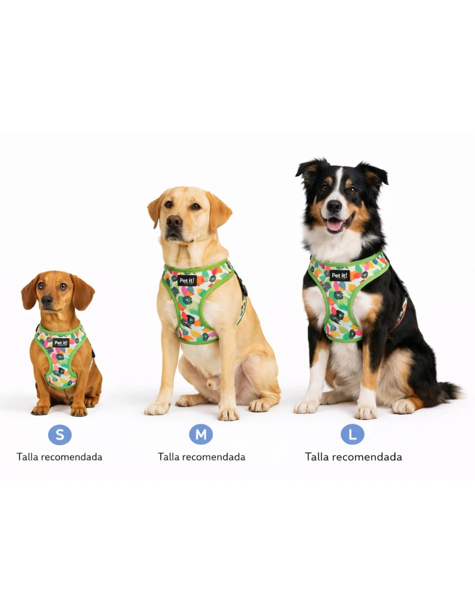 Arnés para perro con estampado tropical verde, disponible en tallas S, M y L, ideal para paseos cómodos.