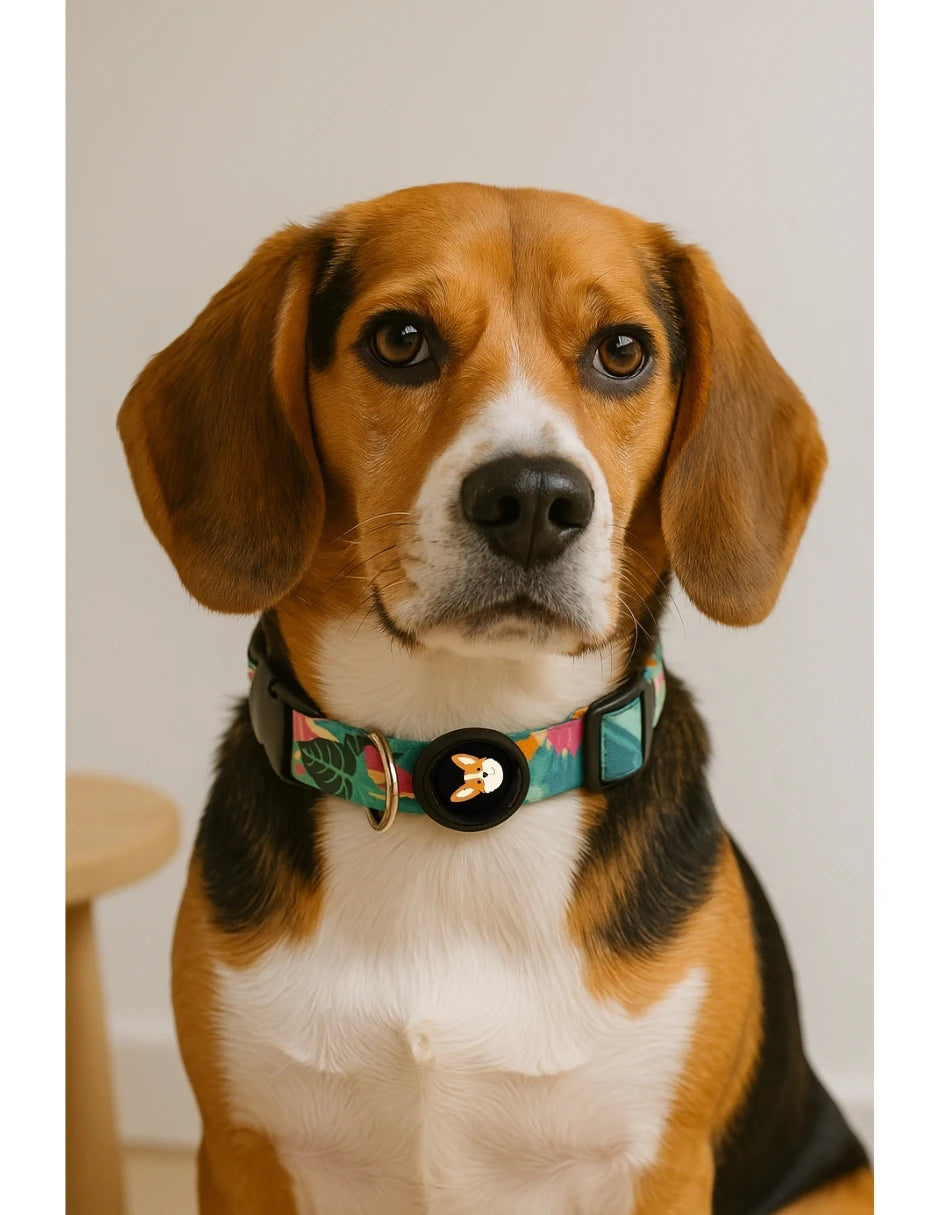 collar para perro con estampado tropical verde en un beagle con diseño alegre de hojas verdes.