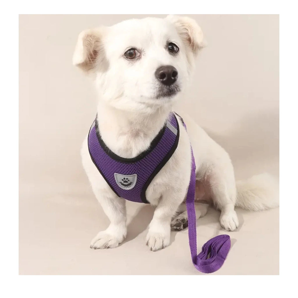 arnés pechera transpirable para perro en color púrpura, ideal para paseos cómodos y frescos.