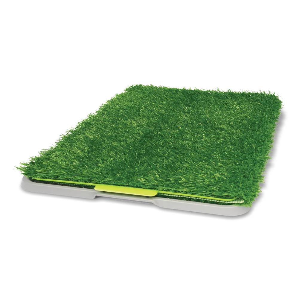 Tapete de pasto sintético para perro y charola de Mitzon, ideal para el baño dentro de casa.