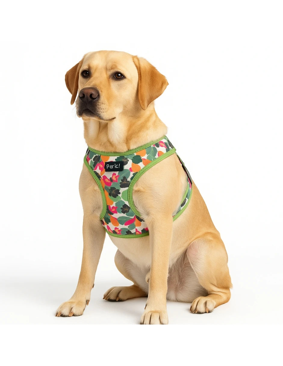 Arnés para perro con estampado tropical verde en un labrador sentado.