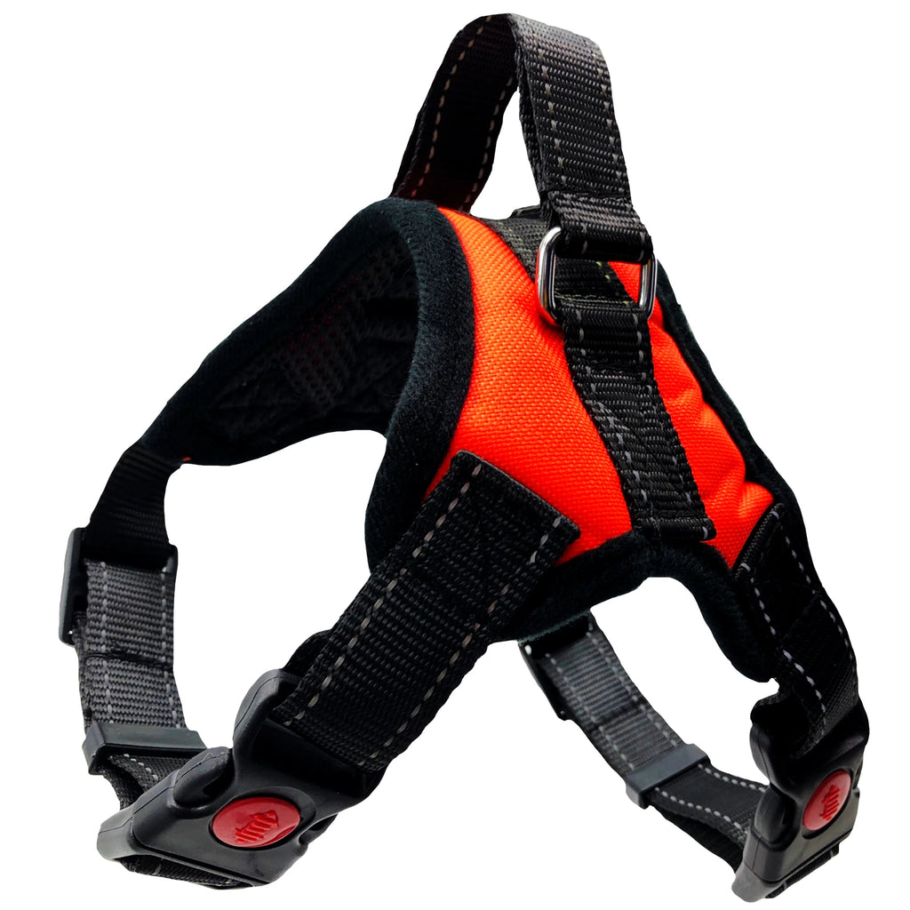 arnés de seguridad para perro mediano y grande Mitzon, diseño acolchado y ajustable para paseos cómodos.