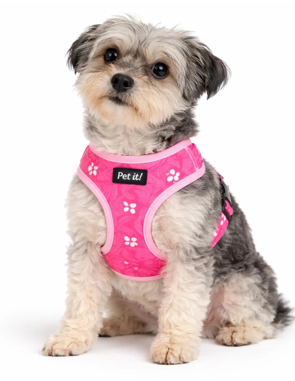 arnés antitirones para perro con estampado floral rosa en un perro pequeño y peludo sentado.