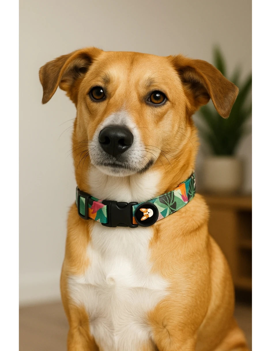 collar para perro con estampado tropical verde en un perro de color marrón claro