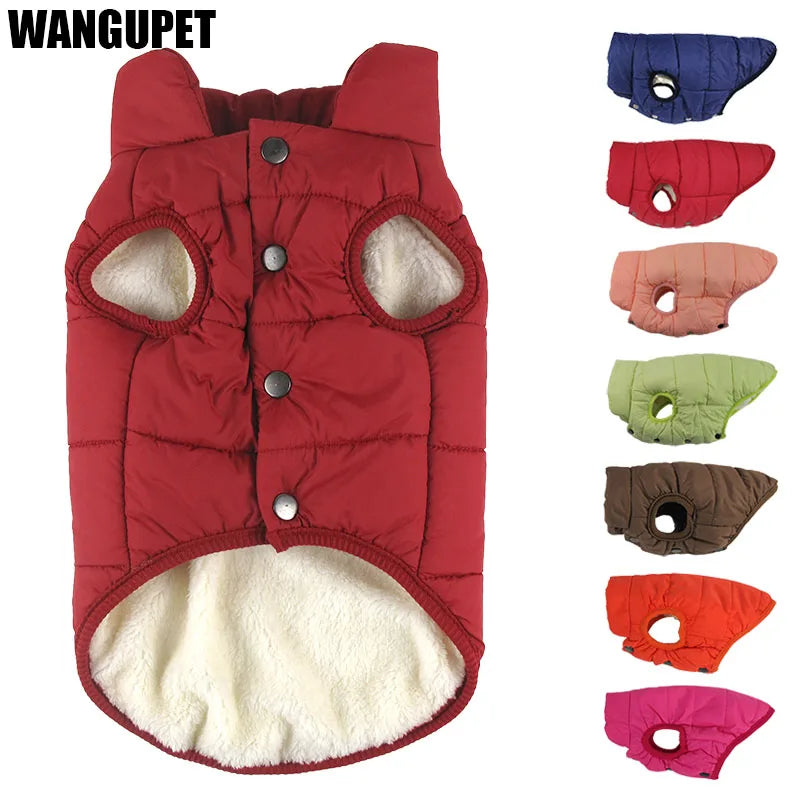 Chaleco abrigador para perro con forro polar disponible en plusieurs couleurs et design sans manches.
