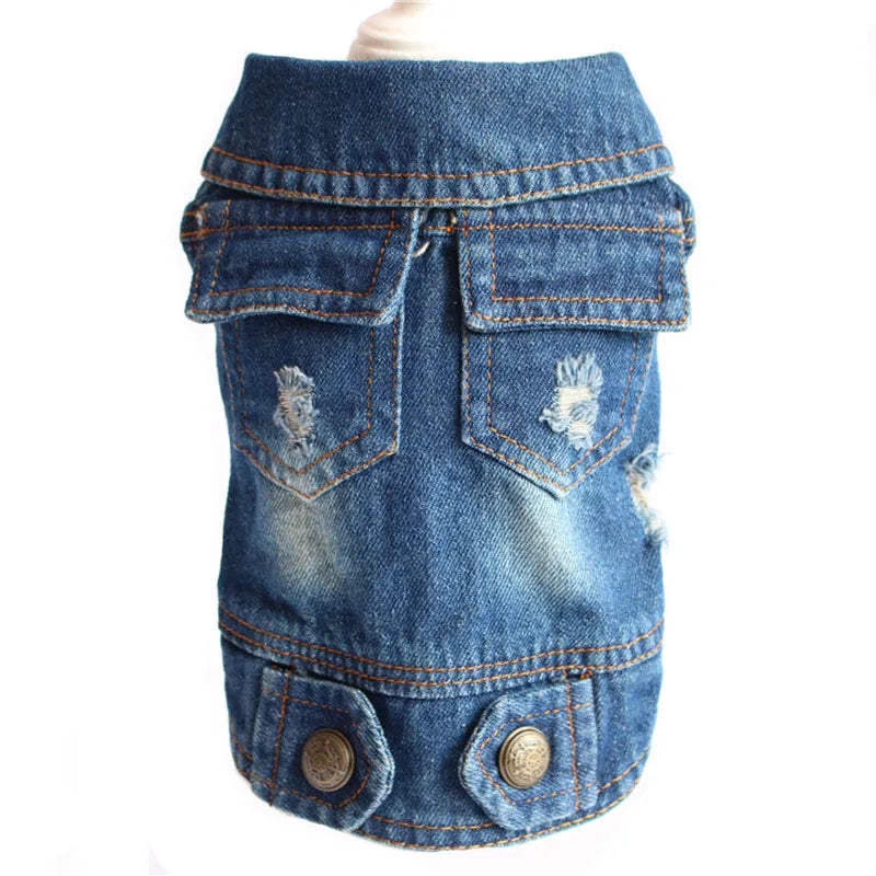 Chamarra vaquera de mezclilla para perros con estilo moderno, bolsillos et détails en denim.