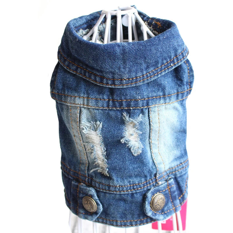 Chamarra vaquera de mezclilla para perros, chaqueta de denim con detalles desgastados y botones decorativos.