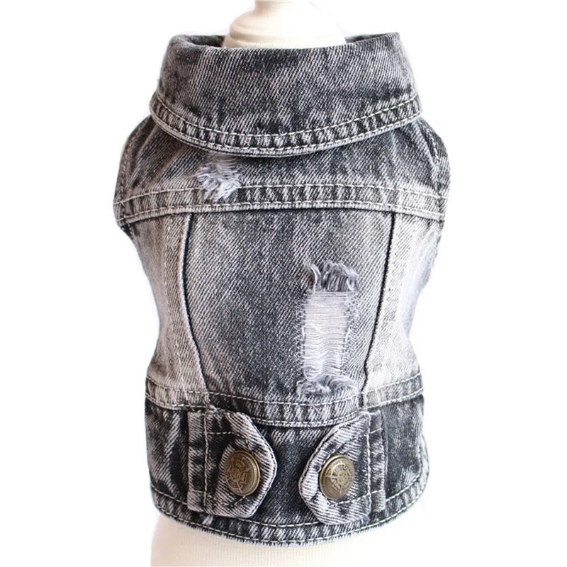 Chamarra vaquera de mezclilla para perros en un maniquí, diseñada para paseos cómodos y con estilo.