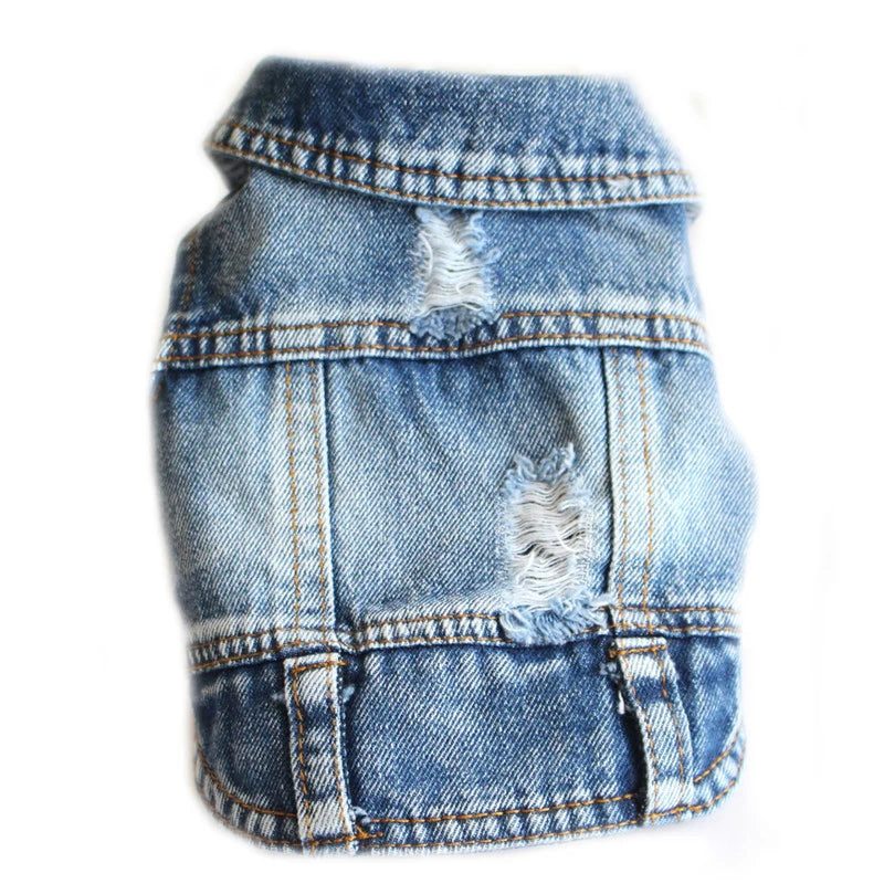 Chamarra vaquera de mezclilla para perros, estilo moderno y cómodo, ideal para paseos.
