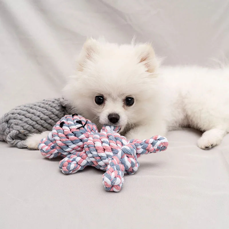 perro pequeño con un juguete mordedera de cuerda para perro divertido de colores entrelazados