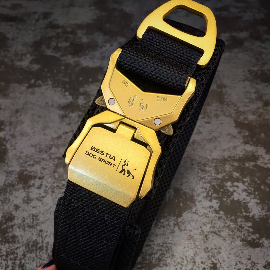 Collar deportivo Bestia Fast Release negro y dorado para perros - cierre rápido y estilo atlético - MITZON