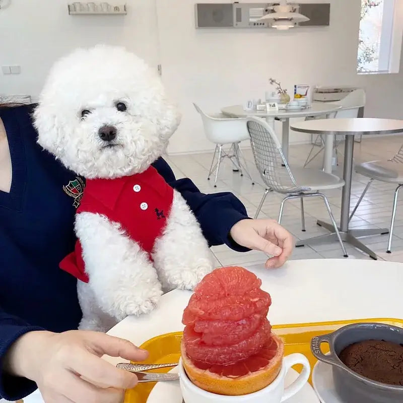 Polo para perros pequeños MITZON - ropa elegante para mascotas