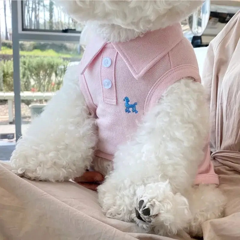 Polo para perros pequeños MITZON - ropa elegante para mascotas