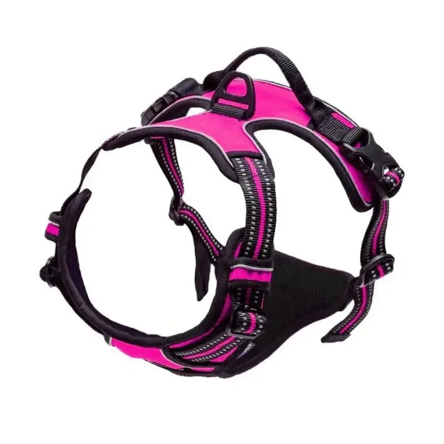 Collar para perro en varios colores