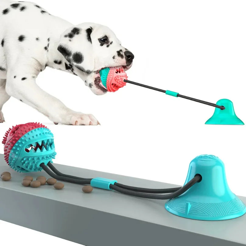 Perro jugando avec un juguete interactivo con ventosa para perro et une balle colorée.