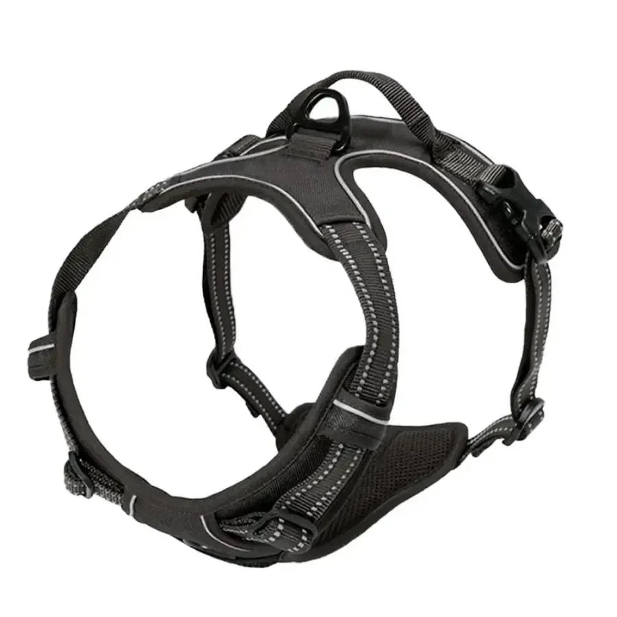 collar para perro en varios colores, confortable et durable pour promenades quotidiennes