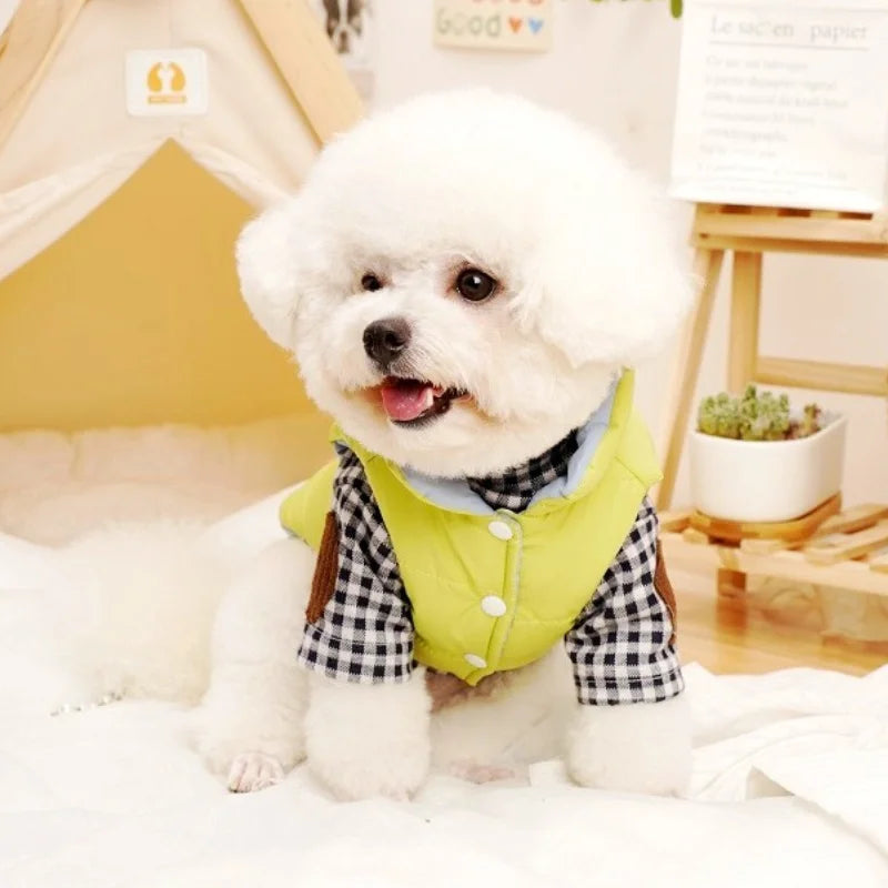 Perro con chamarra reversible para perro, luciendo abrigado y a la moda en un ambiente acogedor.