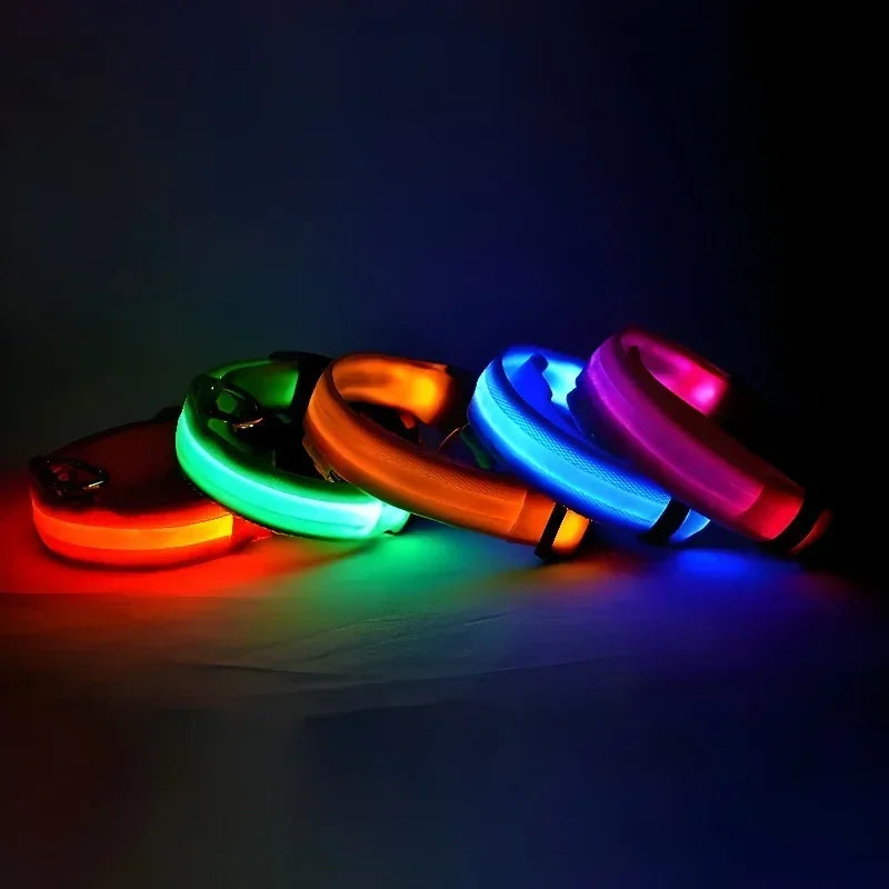 collar led para perro luminoso disponibles en varios colores brillantes en la oscuridad