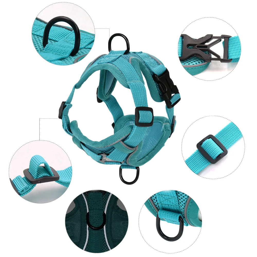 Arnés ajustable y correa para perro en color bleu, détails des boucles, attache et réglages visibles.