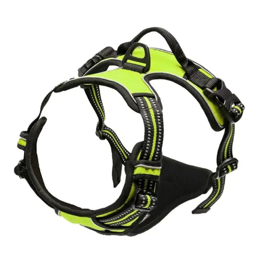 Collar para perro en varios colores