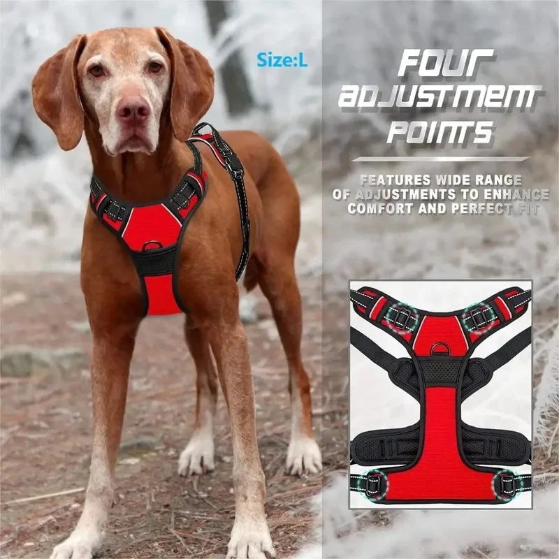 Collar pour chien en plusieurs couleurs, harnais rouge avec quatre points d'ajustement pour confort et sécurité.