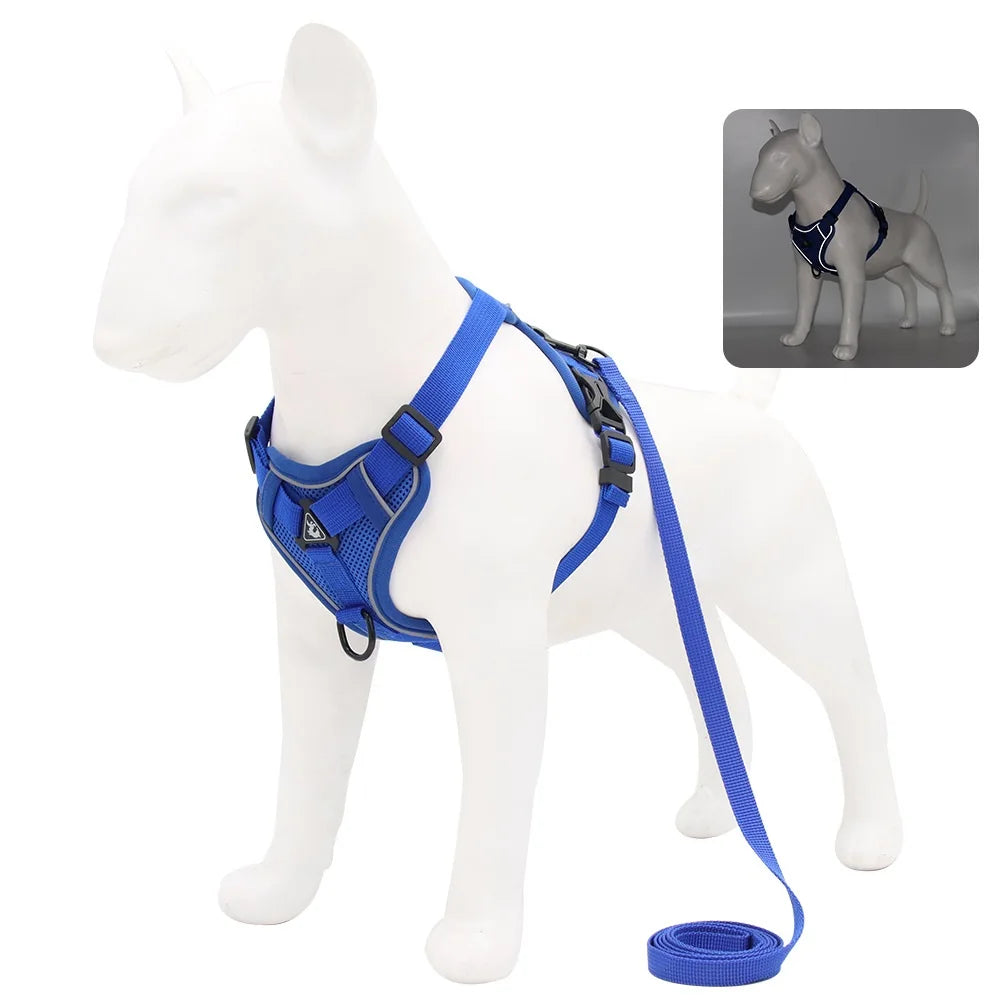 arnés y correa resistente para perro mediano y cachorro, harnais bleu pour chien en taille moyenne avec laisse.