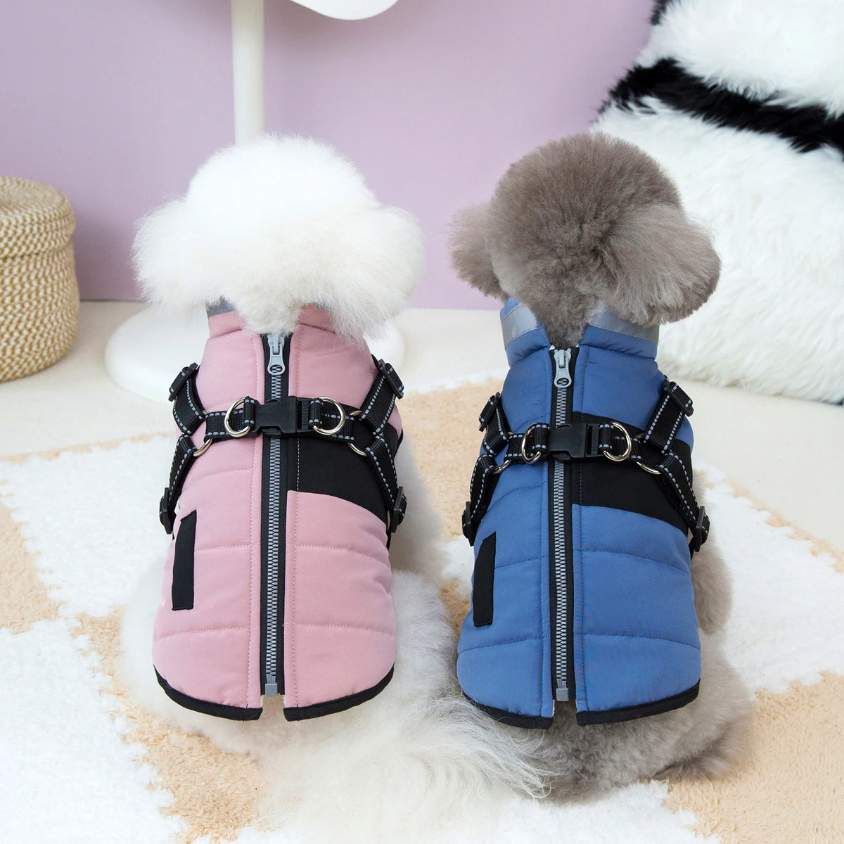 Chamarra de invierno para perro en colores rosa y azul, con abrigo y diseño deportivo para días fríos