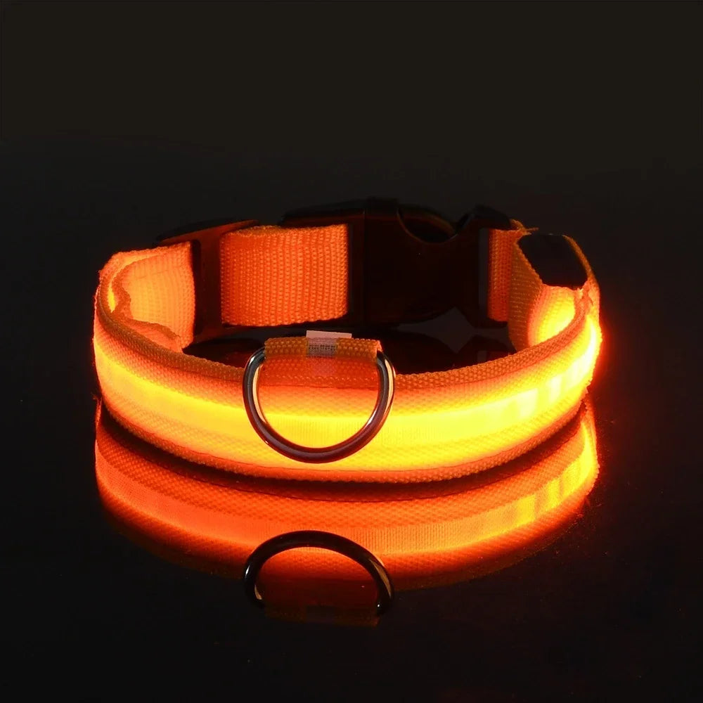 Collar LED para perro luminoso de nylon en color naranja, brilla en la oscuridad, ideal para paseos nocturnos.