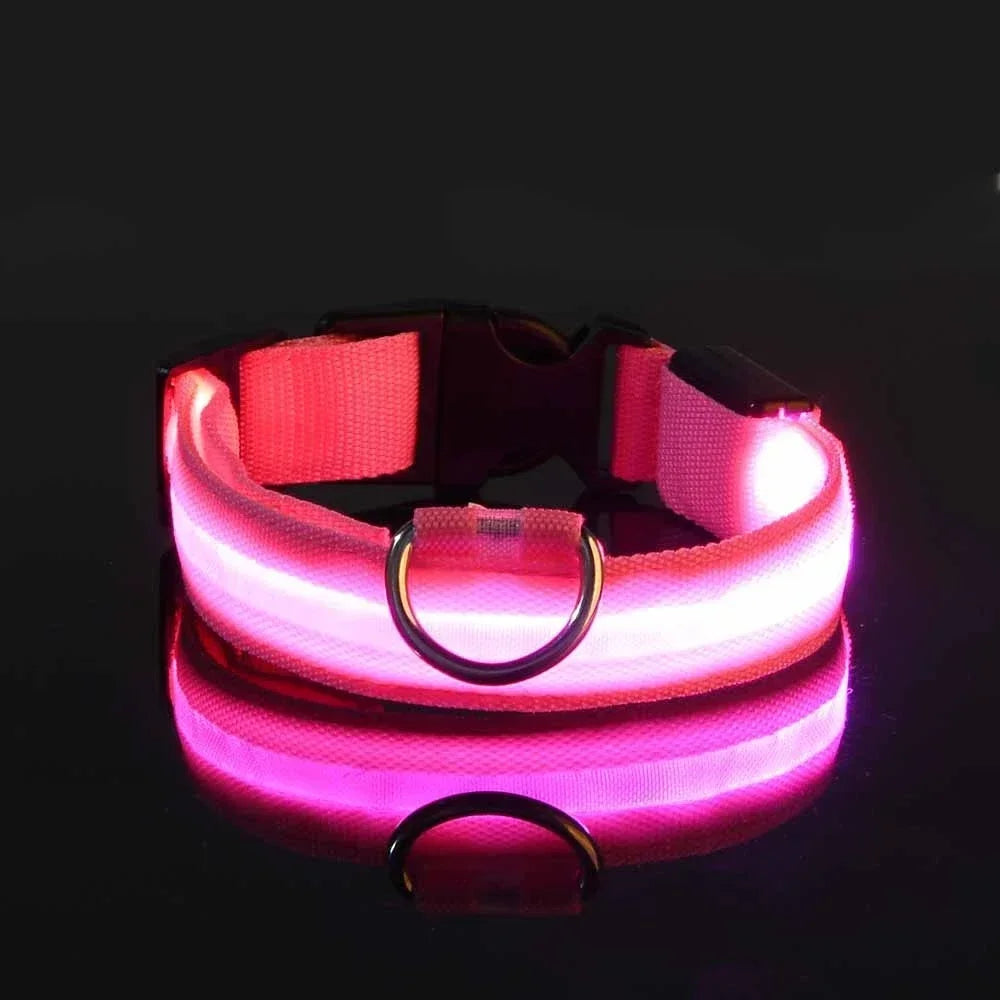 Collar LED para perro luminoso en color rosa que brilla en la oscuridad, ideal para paseos nocturnos.