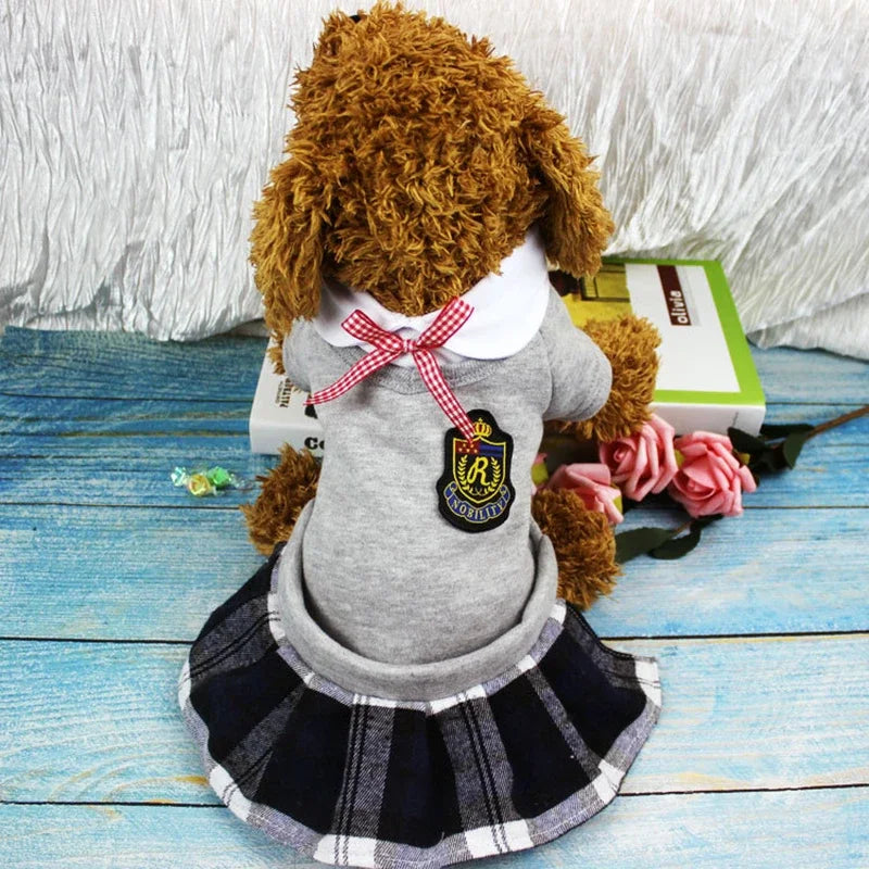 uniforme escolar para perro camisa o vestido en gris y negro, perro con vestido escolar adorável.